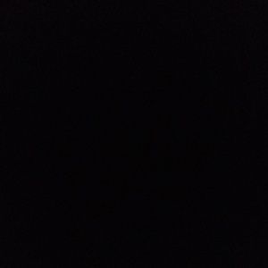 Meet your Posher, Savanah